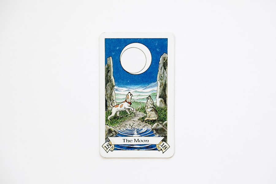 Exploring Tarot and Astrology: Aligning Your Readings with Celestial Cycles